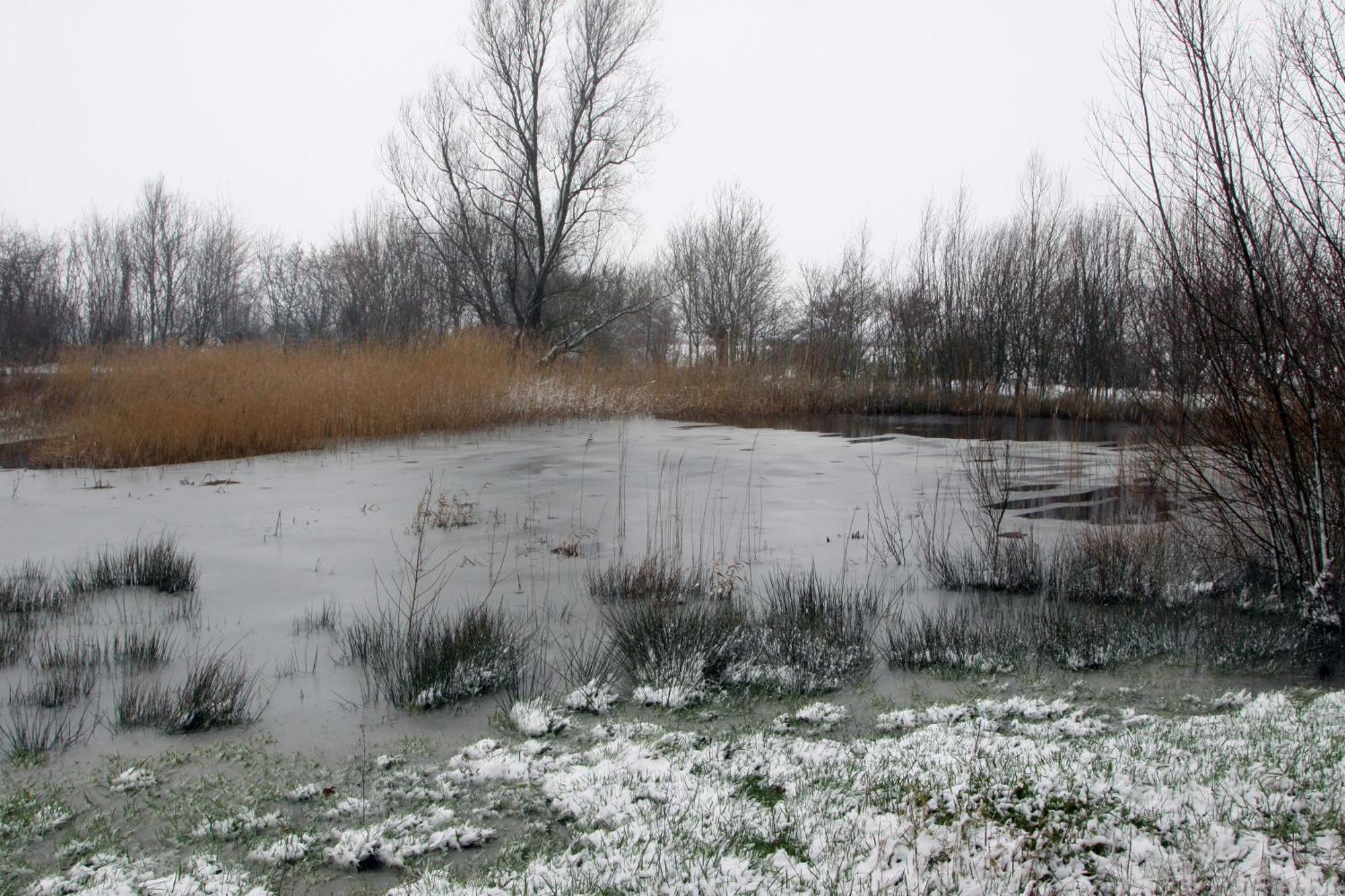 Gastenkamers Boussemaere Ichtegem Exteriér fotografie