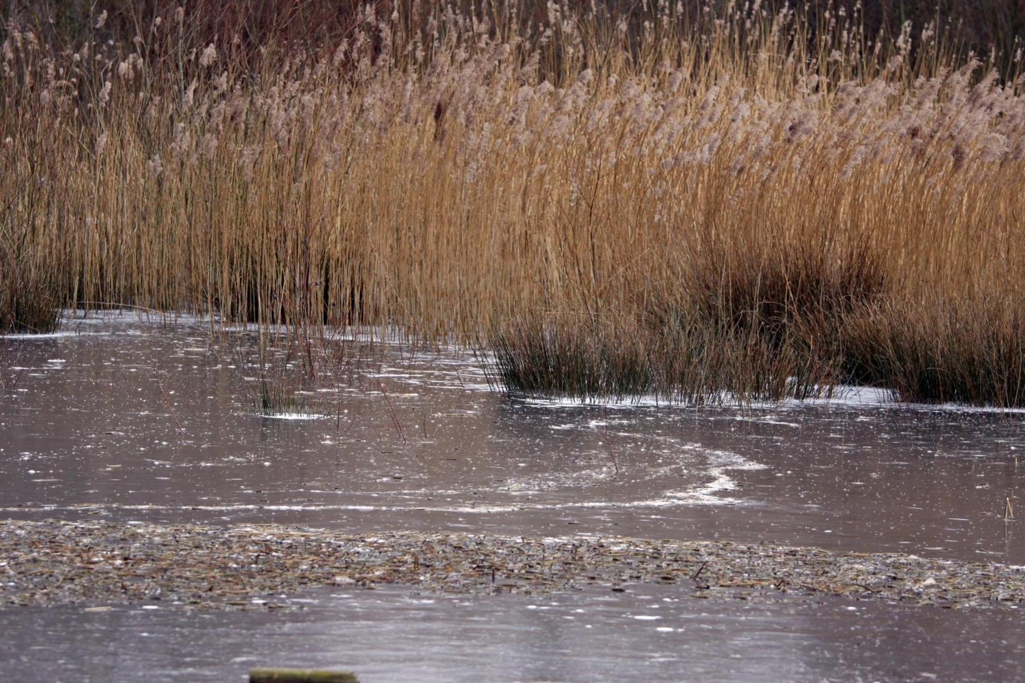 Gastenkamers Boussemaere Ichtegem Exteriér fotografie